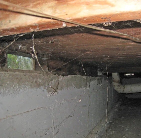 Crawlspace Mold Remediation in Palms, CA