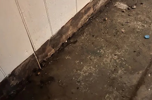 Biohazard Cleanup in Santa Monica, CA