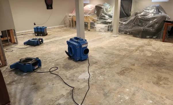 Deodorization Services in Palms, CA