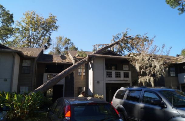 Storm Damage Restoration Santa Monica, California